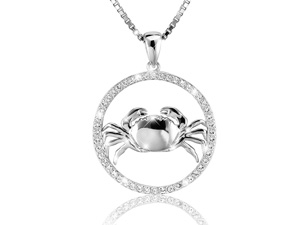 Krebs Silber 1